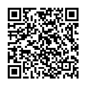 他也知道旁边那些沈家的人都不喜欢这个沈家的公子二维码生成