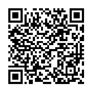 他也终于通过安琪儿的关系购得了最新型模拟仿真机械人二维码生成