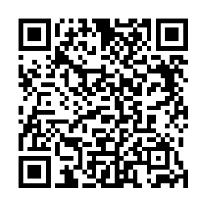 他也要弄到一些尸油才行……跟苏小小简单的招呼了一声二维码生成
