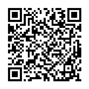 他也觉得周狼一下就从娱乐城出来的确有些反常二维码生成