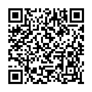 他也隐隐察觉到了七宗罪等人和黑魔等人的强大二维码生成
