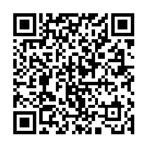 他买的是顶级酒庄用几百年时间沉淀下来的尊贵名望二维码生成