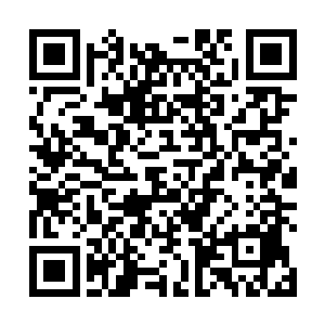他了解到这位伊莎贝尔的导师也是拥有一枚虚拟神格的二维码生成