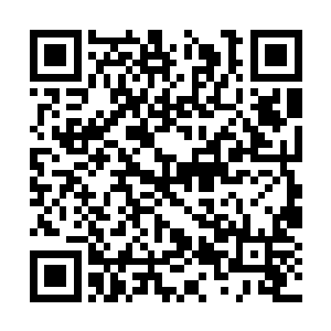他亲眼见证了魔民入侵后这片大地翻天覆地的变化二维码生成