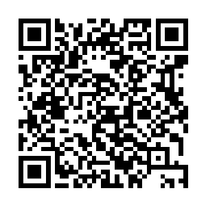 他今天到诚信自行车行这里收账团伙里也没几个人知道呀二维码生成