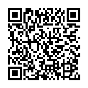他仍旧是想方设法的从紫影貂手中得到了紫彤果二维码生成