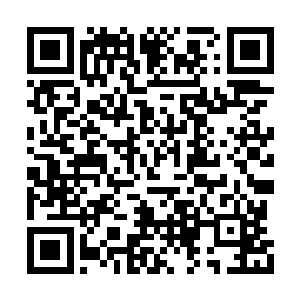 他从不认为跟上凌蘭的脚步比逆天改命还要难的二维码生成