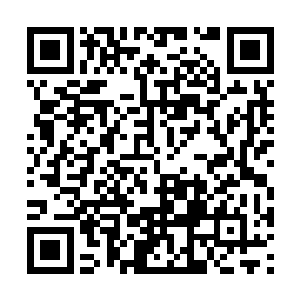 他从储物设备里翻出了一卷看上去平平无奇的古书二维码生成