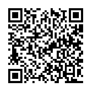 他从地上捡起了刚才没有撕开的那本精装百科词典二维码生成