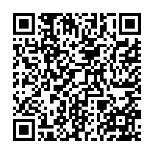 他从巨熊身上的气息就能感觉出这头巨熊一定是比野猪还要难对付二维码生成