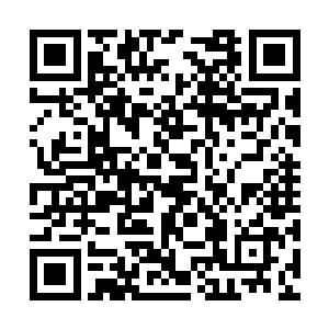 他从未在公司的职员面前表现过他对阮阮有多深情二维码生成