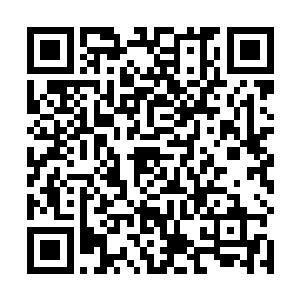 他从来不知道原来修剪花木是那么令人心情愉悦的事情二维码生成