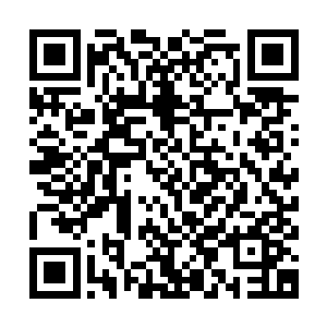 他从来不知道张潇晗坚强的外表下竟然还有一颗逃避绝望的内心二维码生成