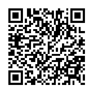 他从来就没有见过像她那般不知羞耻的大家闺秀二维码生成