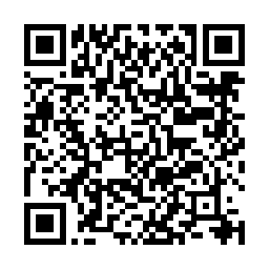 他从来没想过表兄能安下心来读书或是像姑父一样做事二维码生成