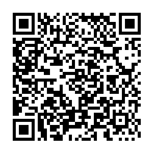 他从来没有想过一个出身三十六国的弟子能够给自己带来这样的压力二维码生成