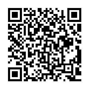 他从来没有想过有一天拯救世界的重担会这样落在自己的身上二维码生成