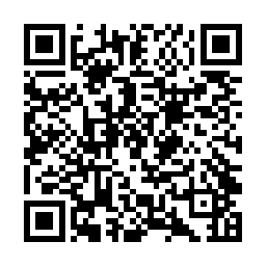 他从来没有想过栗笑天会动用警戒线一下的纯阴之力二维码生成