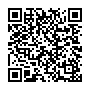 他从来没有见过能化出如此巨型的鬼爪的幽魂利爪二维码生成