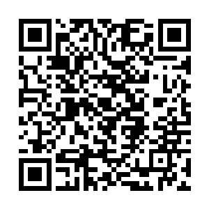 他从来都只是一个渴望着能够得到父爱和母爱的孩子二维码生成