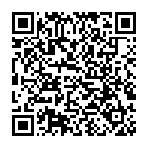 他从来都没有听说过在神之大陆有哪个玄阵大师能够将天雷引动下来二维码生成
