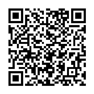 他从跟着奶奶去加拿大看姑奶奶到现在一直都没吃到青椒二维码生成