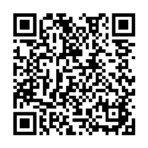 他以为三阶武宗的管豹会瞬间秒了七阶武师的陈凌二维码生成