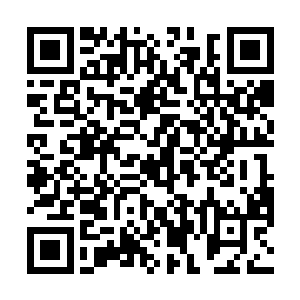 他以为他可以用平常的心来看待小奶娃这次突来的长睡二维码生成