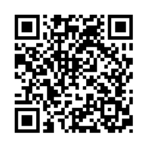 他以为只要他严严实实地掩埋住那个真相二维码生成