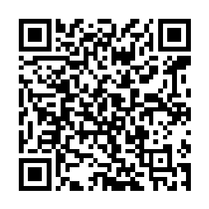 他以为完全没有智能的机器人居然能和自己主动交流二维码生成