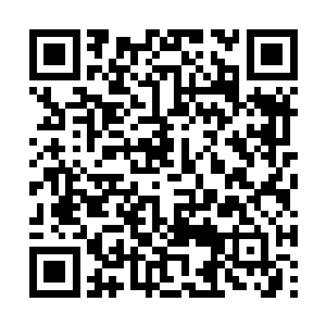 他以为就算她有一天可能会被病魔折磨得奄奄一息二维码生成