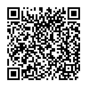 他以为自己与杨影能轻而易举地夺取杨开府中殿里悬挂的那一面令旗二维码生成