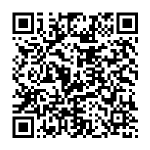 他以为自己趁黑夜过来可以摸近了查探这座边境线上的城镇有什么玄机二维码生成