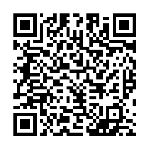 他以为至少也要仙尊境修为方才能激活玉瓶的第二层威力二维码生成