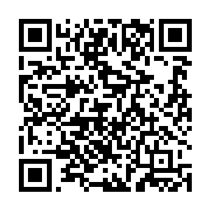 他以为这御灵神镰和血剑一样对自己造不成任何的伤害二维码生成