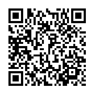 他以后可以在小高护上班的时间尽情干自己想干的事儿了二维码生成