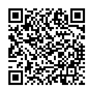 他以圣龙剑射出的这一道剑气中也带着一丝本源在内二维码生成