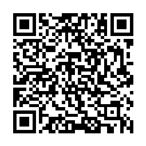 他们一个个刚才可是眼睁睁的目睹了噬血妖藤的厉害二维码生成