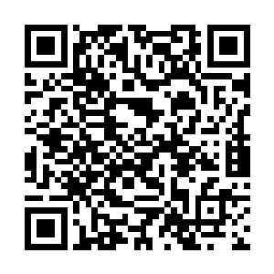 他们一个个手都拎着装着鸡蛋还有山货的篮子看着我二维码生成