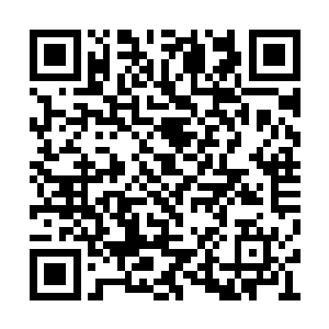 他们一个个都仿佛是担心夏天会对他们动手一样二维码生成
