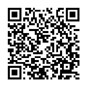 他们一度还怀疑青丘一族的那位娘娘有点小题大做二维码生成