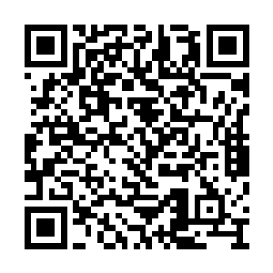 他们一直不知道这个小寇到底拥有什么样的力量二维码生成