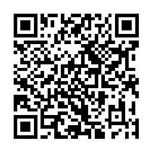 他们一直以为凌天机甲团出战的人都是团长以及各大队长二维码生成
