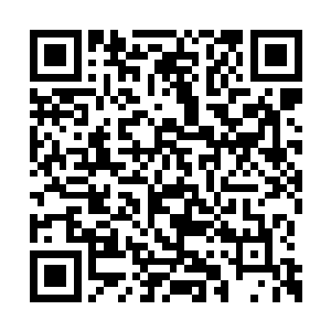 他们一直没能找到弄走这八卦镇元殿仙宝的办法二维码生成