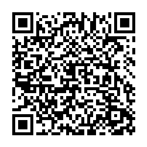 他们一群人四头兽大大咧咧地一路从须臾峰走到了山腰上的须臾殿二维码生成