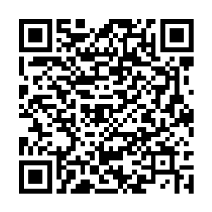 他们一脸微笑的看着来到这片天地的各大种族天才二维码生成