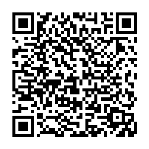 他们一行人对于那些迷雾之中的邪魔后裔而言无疑便是成为了黑夜之中的明灯二维码生成