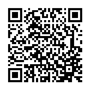 他们一起就足以形成一个可以抗衡清虚门或者流云宗的势力了二维码生成