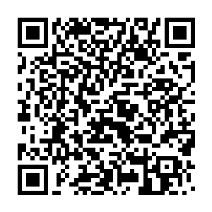 他们七人跟那些被刷下的仙丹期天仙比起来简直就是相差十万八千里二维码生成