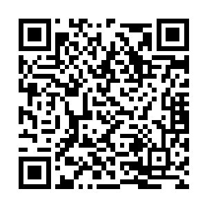 他们三大宗门直接垄断了整个神界一半以上的资源二维码生成